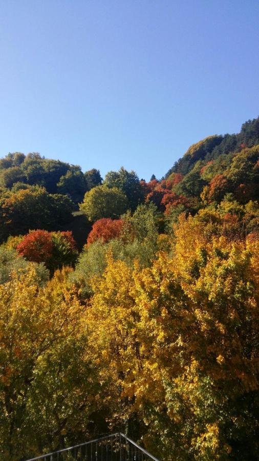 B&B Il Ghiro Roccaraso Kültér fotó